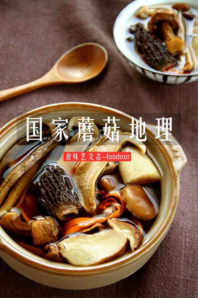 國家蘑菇地理：中國哪里的蘑菇最好吃？