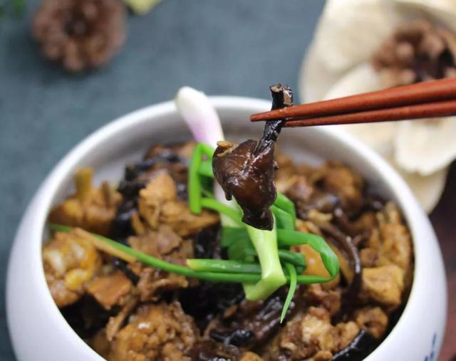 國家蘑菇地理：中國哪里的蘑菇最好吃？