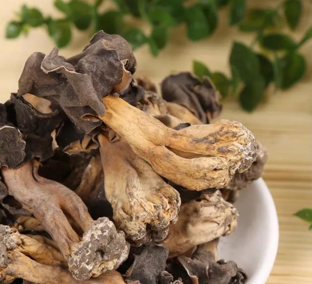 國家蘑菇地理：中國哪里的蘑菇最好吃？
