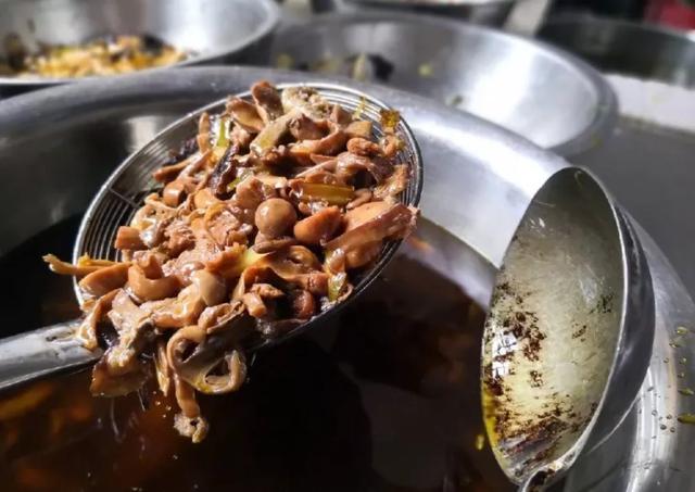國家蘑菇地理：中國哪里的蘑菇最好吃？