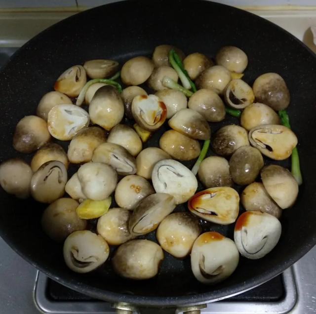 國家蘑菇地理：中國哪里的蘑菇最好吃？